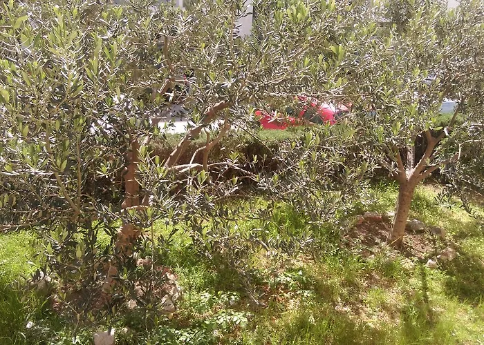 Apartman Sunny Split